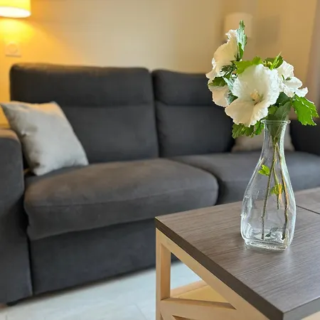 Apartament Maison Pierre & Vacances Tout Confort - Village Normandy Garden